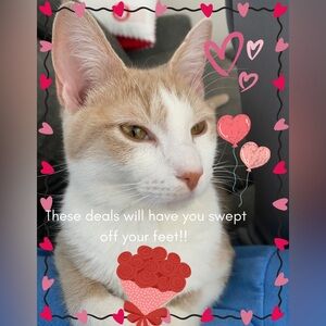 Unlisted items for live show (Want shipped ASAP? Please let me know!!!)